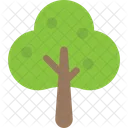 Woodland Generic Tree Icon