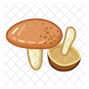 Suillus Mushroom Food Icon