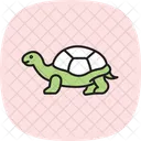 Tartaruga Sulcata Tartaruga Sulcatatortoise Reptil Ícone