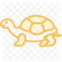 Sulcata Tortoise Icon