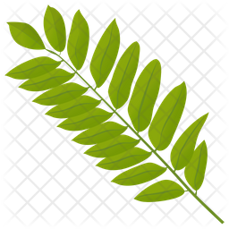 Sumac Leaf Icon