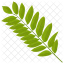 Ash Leaf Sumac Leaf Leaf Icon