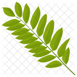 Sumac Leaf  Icon