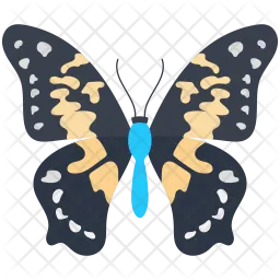 Summer Azure Butterfly  Icon