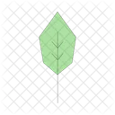 여름 장식 개체 장식용 잎 자연 식물 아이콘