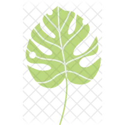 Summer plant  Icon