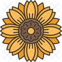 Sun Flower Yellow Icon