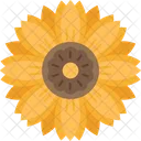Sun Flower Yellow Icon