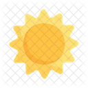 Sun Gardening Nature Icon