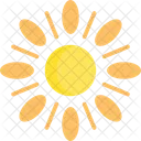 Sun Hot Summer Icon