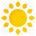 Sun Summer Nature Icon