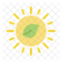 Sun Energy Ecology Icon