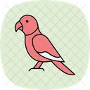 Sun Conure Sunconure Pet Icon