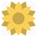 Sunflower Flower Design Decorative Flower Icon