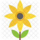 Helianthus Sunflower Crops Icon