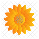 Sun Flower Farming Oil Icon