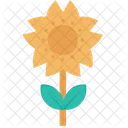 Sun Flower Plant Leaf Icon