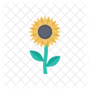 Sun Flower Plant Flower Icon