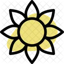 Sun Flower Icon