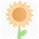 Spring Season Sun Flower Icon