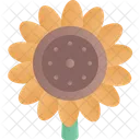 Sun Flower Floral Nature Icon