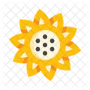 Sunflower Plants Flower Icon