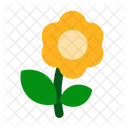 Sun flower  Icon