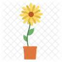 Sun Flower  Icon