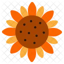 Sun Flower Flower Nature Icon