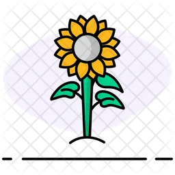 Sun flower  Icon