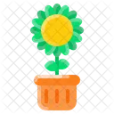 Sun Flower Pot Sunflower Spring Icon