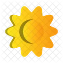 Sun Summer Spring Icon
