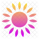 Sun  Icon