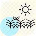 作物の上の太陽 アイコン