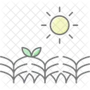 Sun Over Crops Sun Crops Icon