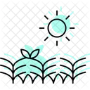 Sun Over Crops Sun Crops Icon
