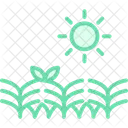 Sun Over Crops Sun Crops Icon