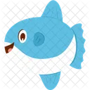 Sunfish Icon