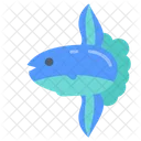 Sunfish Head Fish Mola Icon