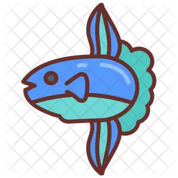 Sunfish  Icon