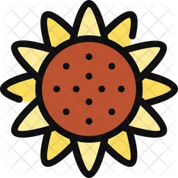 Sunflower  Icon