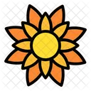 Sunflower Thanksgiving Nature Icon