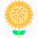 Sunflower Icon