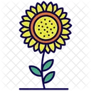 Sunflower Flower Nature Icon