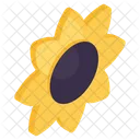 Sunflower Floweret Blossom Icon