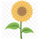 Sunflower Planting Agriculture Icon