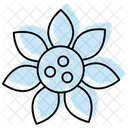 Sunflower Color Shadow Thinline Icon Icon
