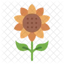 Sunflower Flower Blossom Icon