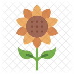 Sunflower  Icon