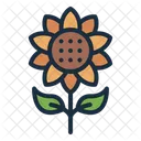 Sunflower Flower Blossom Icon